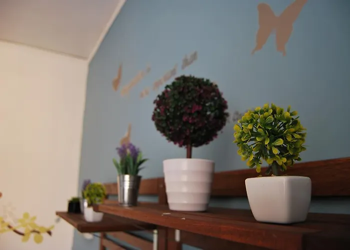 Spaccanapoli Bros. * Napoli