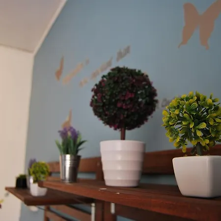 Spaccanapoli Bros. * Неаполь